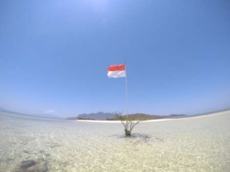 a lone tree with an Indonesian flag in the middle of shallow sea