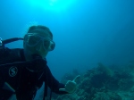 a scuba diver under the sea