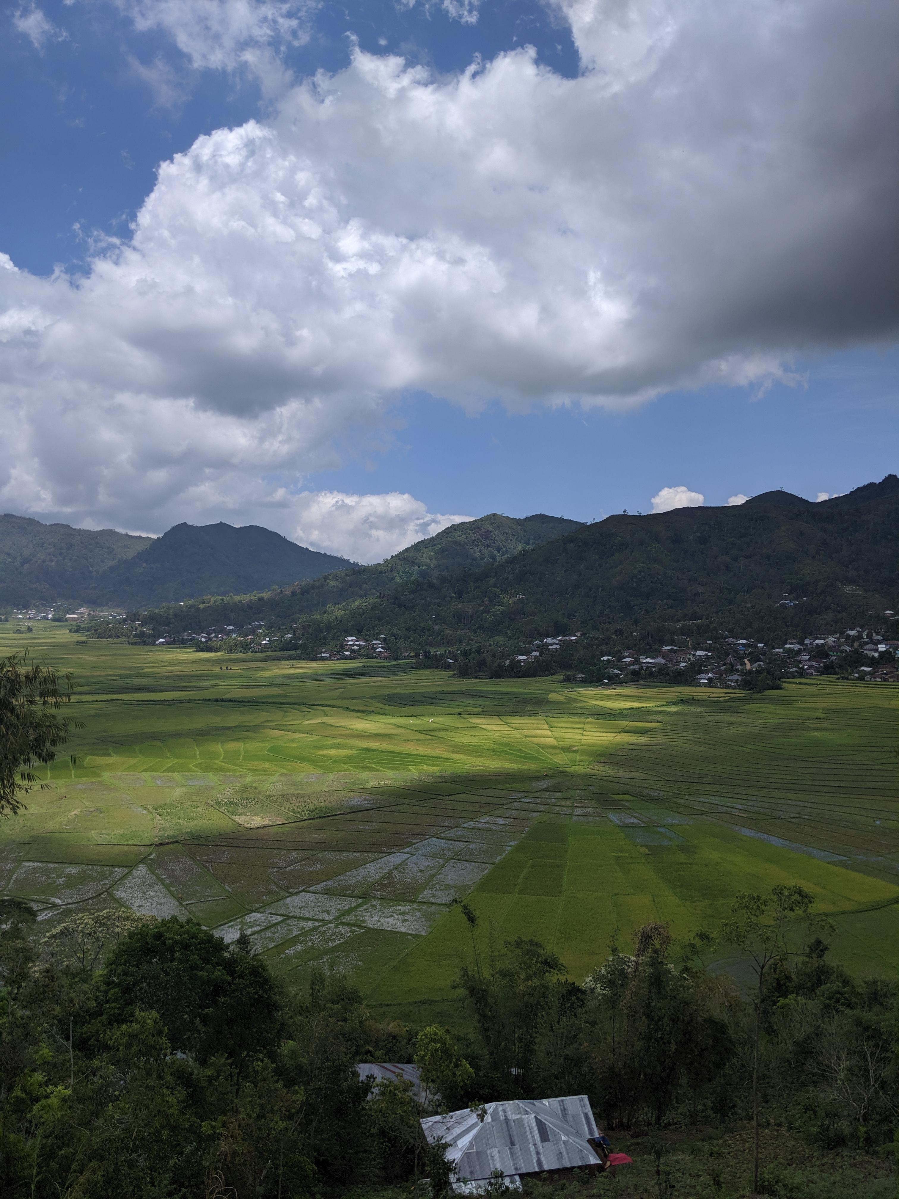 A photo looking down on to Lingko Paddy fields near Cancar in Flores. The shape of the fields is like a pie chart, with mountains and villages in the distance.