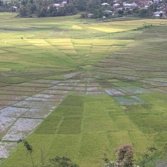 The Lingko Paddy Field viewed from above.